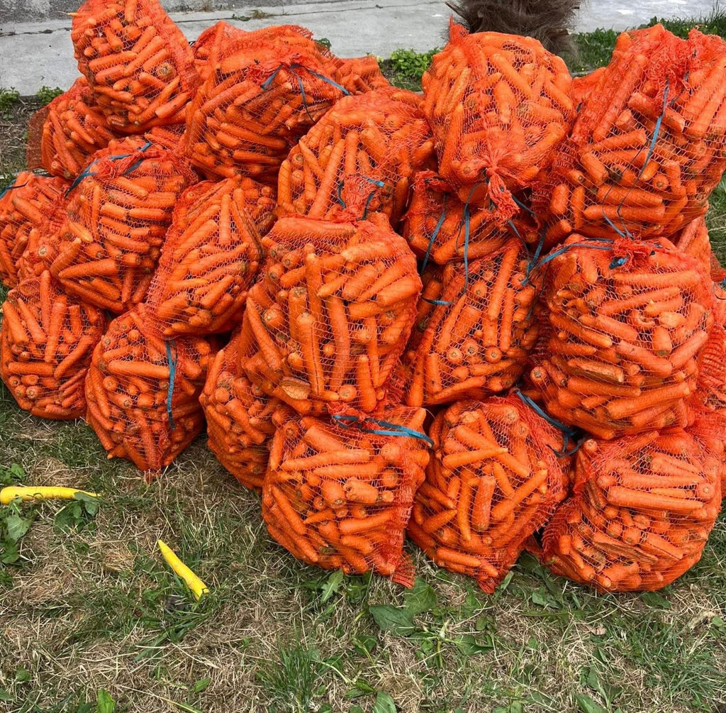 10 kg de carottes
